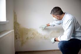 Asbestos and Lead Testing During Mold Inspection in Greensburg, PA